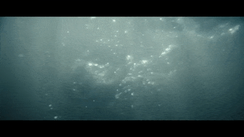GIF by Crown Lands