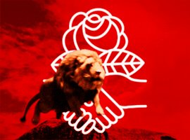Democratic Socialist Lion GIF