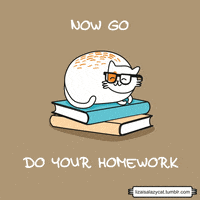 Do Your Homework Gifs Get The Best Gif On Giphy