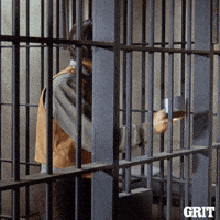 The Prisoners GIFs - Find & Share on GIPHY