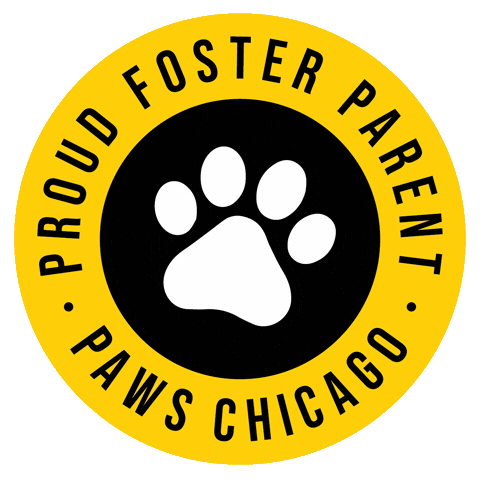 Foster Sticker by PAWS Chicago