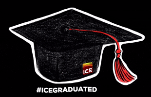 Graduation GIF by iceculinary