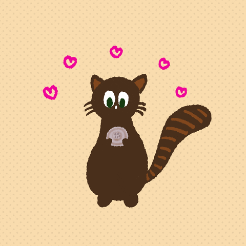 Cat GIF