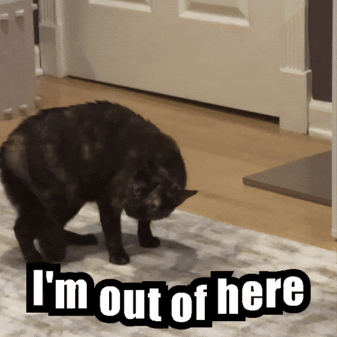 Silly Lilly Im Out Of Here GIF