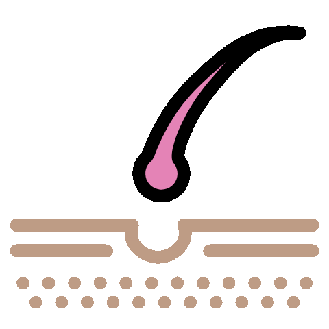 Baykinidepilación Sticker