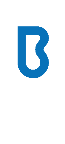 Br Sticker by Brainrider Inc.