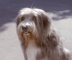 Beverly Hills 90210 Hello GIF by CBS All Access