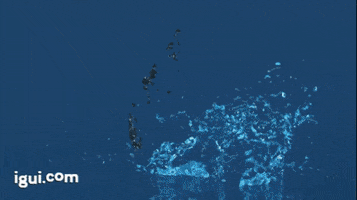 iguioficial GIF