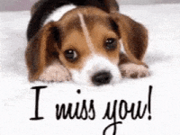 Omg Baby I Love You So Much Gifs Get The Best Gif On Giphy Omg Baby I Love You So Much Gifs Get The Best Gif On Giphy