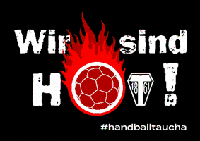 TSG 1861 Taucha - Abt. Handball GIF