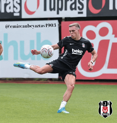 Beşiktaş GIF
