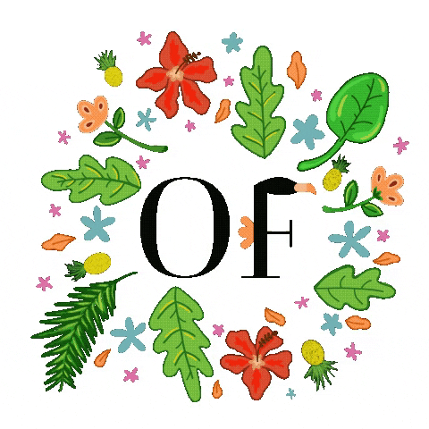 Orange Flamingoo by Maria Santana GIF