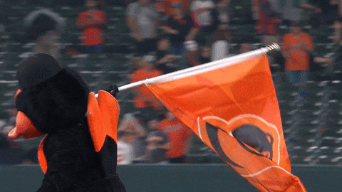 Baltimore-orioles GIFs - Get the best GIF on GIPHY