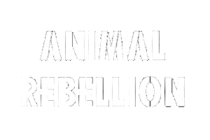 Sticker by Animal Rebellion Koeln