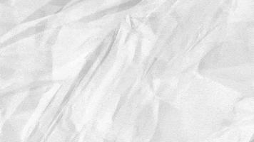 Rollin' With It ... GIF