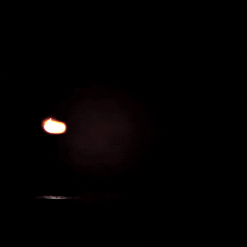 Lit21 GIF
