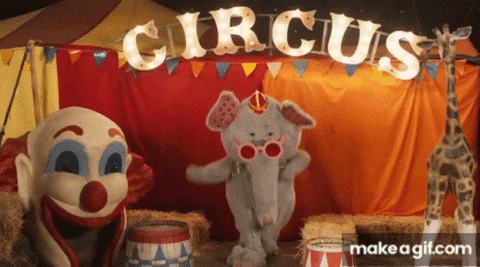 Life Is A Circus Erasmus World Bilbao GIFs - Get the best GIF on GIPHY
