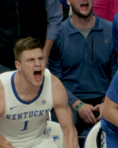 Kentuckywildcats GIF by Kentucky Men’s Basketball. #TGT -