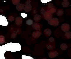 Zuda Dans Academy GIF