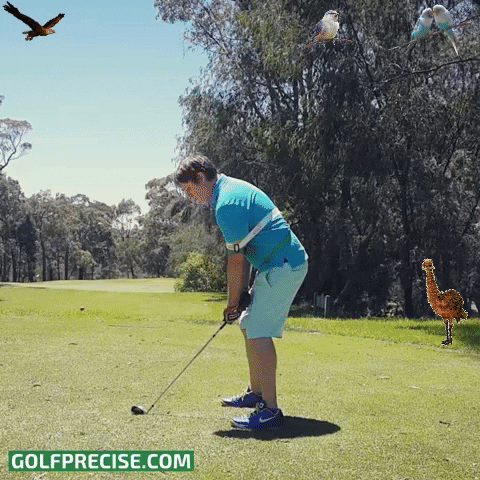 Golf GIF
