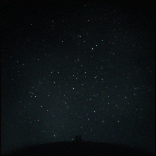 Camp Quarantine GIF