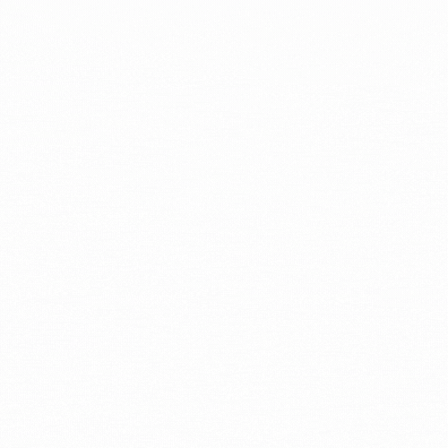 Radboud Fonds GIF