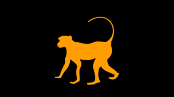 Agência Maker ® GIF