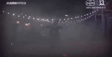 Caballo GIF