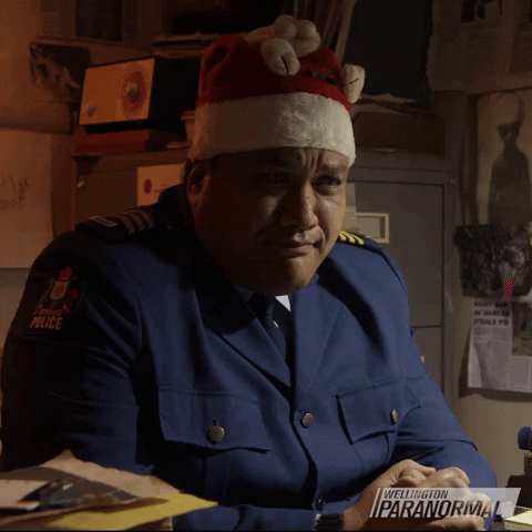 Merry Christmas GIF by Wellington Paranormal