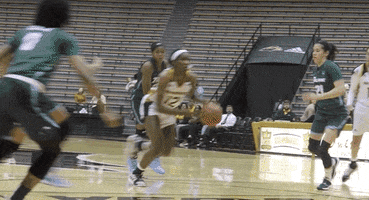 To The Top Layup GIF by Southern Miss Athletics