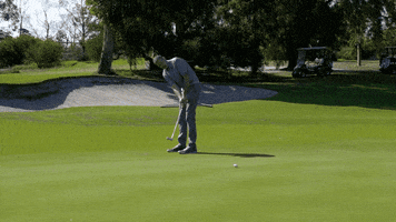 Golf Fluke GIF by GolfBarons