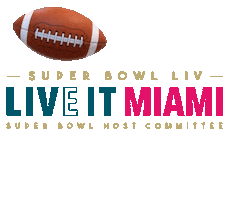 Miami Super Bowl Host Committee Sticker