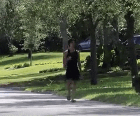 giphy.gif?cid=4d1e4f293a009d551bfdaf7de1