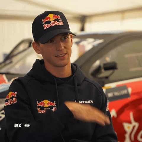 Happy Up And Down GIF by World RX - FIA World Rallycross Championship