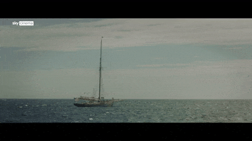 Matthew Daddario Sky Original GIF by Signature Entertainment