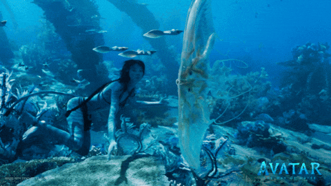 James Cameron Ocean GIF by Avatar