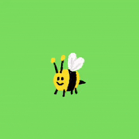 Bee Fly Gifs Get The Best Gif On Giphy Bee Fly Gifs Get The Best Gif On Giphy