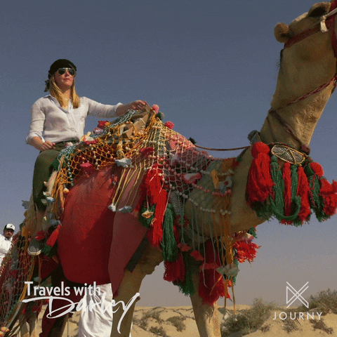 Camel Ride Wildlife GIF by Ovation TV