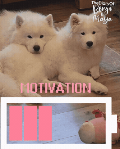 Mood Help GIF