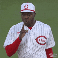 Field Of Dreams Baseball GIF by Cincinnati Reds