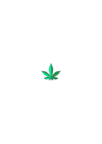 Smoke Weed Sticker