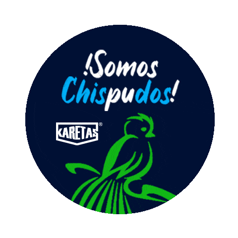 Guatemala Sticker by Karetas Protectoras