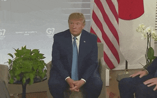 Donald Trump No Comment GIF