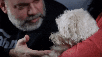 Scared Dog GIF by Brown & Crouppen