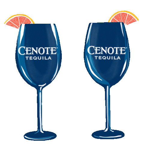 Cheers Drinks Sticker by Cenote Tequila