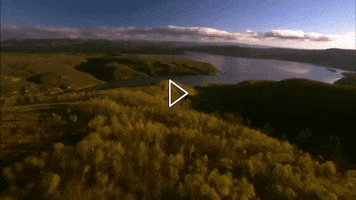 Engel & Völkers Salt Lake GIF