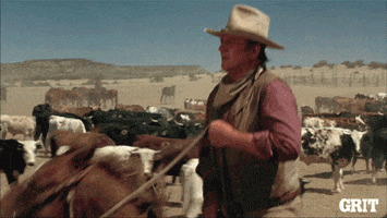 Leaving Old West GIF by GritTV