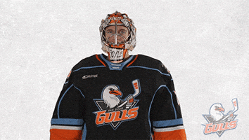 National Hockey League No GIF by San Diego Gulls