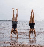 200.gif