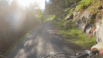 Mountain Bike Summer GIF by Jungfrau Region